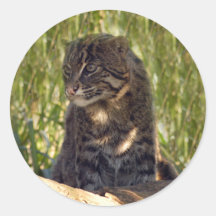 FishingCat008 Stickers