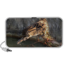 FishingCat009 iPod Speakers