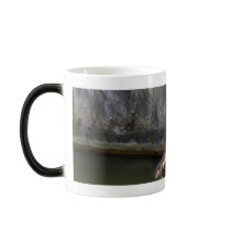 FishingCat009 mugs