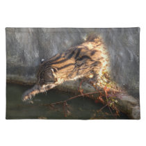 FishingCat009 placemats
