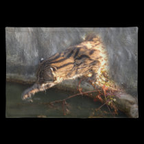 FishingCat009 placemats