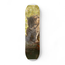 FishingCat010 skateboards by BCRcats FishingCat010 skateboards