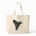 FishTails  Collection by FishTs
