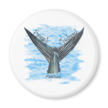 FishTails Collection by FishTs.com