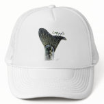 FishTails  Collection by FishTs