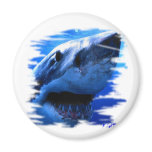 FishTs Designer Series