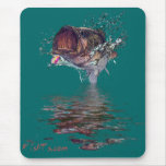 FishTs Designer Series