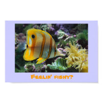 Fishy posters