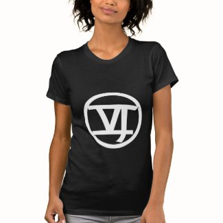 Fitted Logo VI T-Shirt (black)