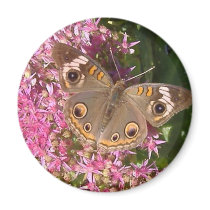 Fitting Farewell To Summer magnets