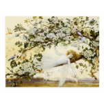 Fitzgerald's Ariel Postcard