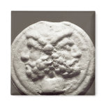 Five coins depicting Janus, Jupiter Fridge Magnets