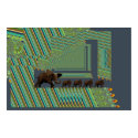 Five elephants 02 posters