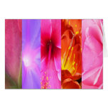 Five Flowers Greeting Cards