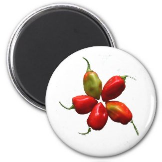 Five Hot Habanero Peppers Photograph magnet
