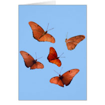 Five Julia Butterflies cards