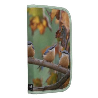 Five nuthatches Rickshaw Smartphone folio rickshaw_folio