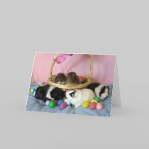 Five Pigs & A Basket cards
