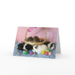 Five Pigs & A Basket cards