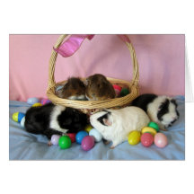 Five Pigs & A Basket Greeting Card