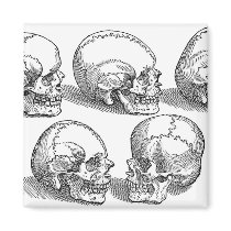 Five Skulls magnets