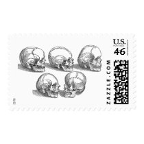 Five Skulls Stamps