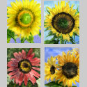 Five Sunflowers T-shirt Apparel by lillyarts Five Sunflowers T-shirt Apparel