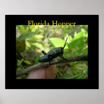 FL Hopper Posters