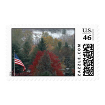 Flag and Snow Fall Postage