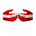 Flag Austria t-shirts