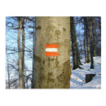 flag austria winter postcard