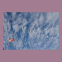 Flag beneath clouds posters by brian_nolan Flag beneath clouds posters