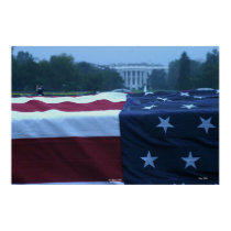 Flag-draped "Coffin" and White House posters