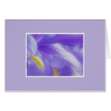 Flag Iris cards