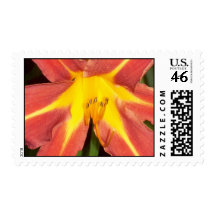 Flag Lily Postage
