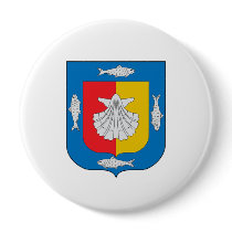 Flag of Baja California Sur Pin