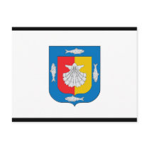 Flag of Baja California Sur Post Card