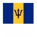 Ladies Baby Doll (Fitted)