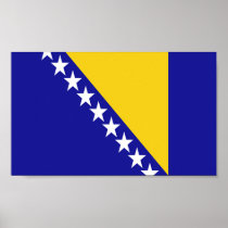 Flag of Bosnia and Herzegovina Poster