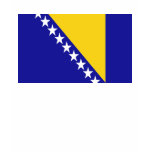 Flag of Bosnia and Herzegovina Tee Shirts