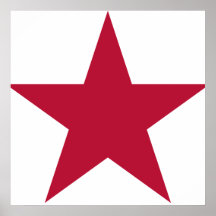 Flag of California Star Print