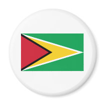 Flag of Guyana Fridge Magnet