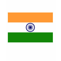 Flag of India Shirt