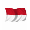 Flag of Indonesia shirt
