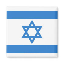Flag of Israel Fridge Magnet
