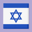 Flag of Israel Magnets