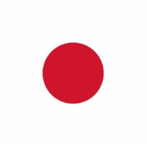 Flag of Japan photo sculptures by Ladiebug Flag of Japan photo sculptures