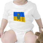 Flag of Lower Austria Shirts