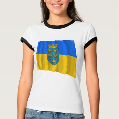 Flag of Lower Austria T Shirt by Vexillophile