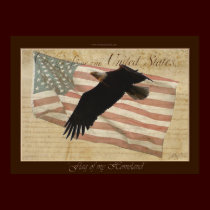 FLAG OF MY HOMELAND ~ Poster posters